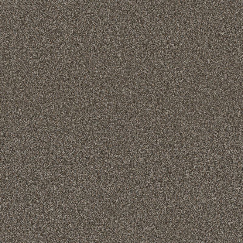 Shaw Floors Pet Perfect Plus Renewed Energy II Mineral Bed