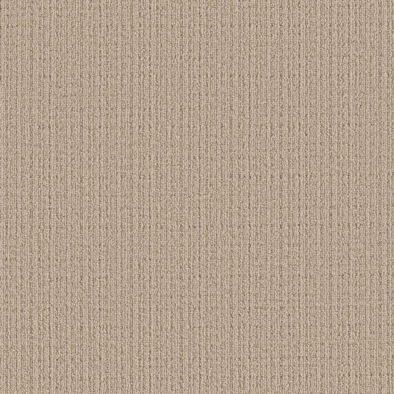 Shaw Floors Pet Perfect Ultra Lavish Worn Path