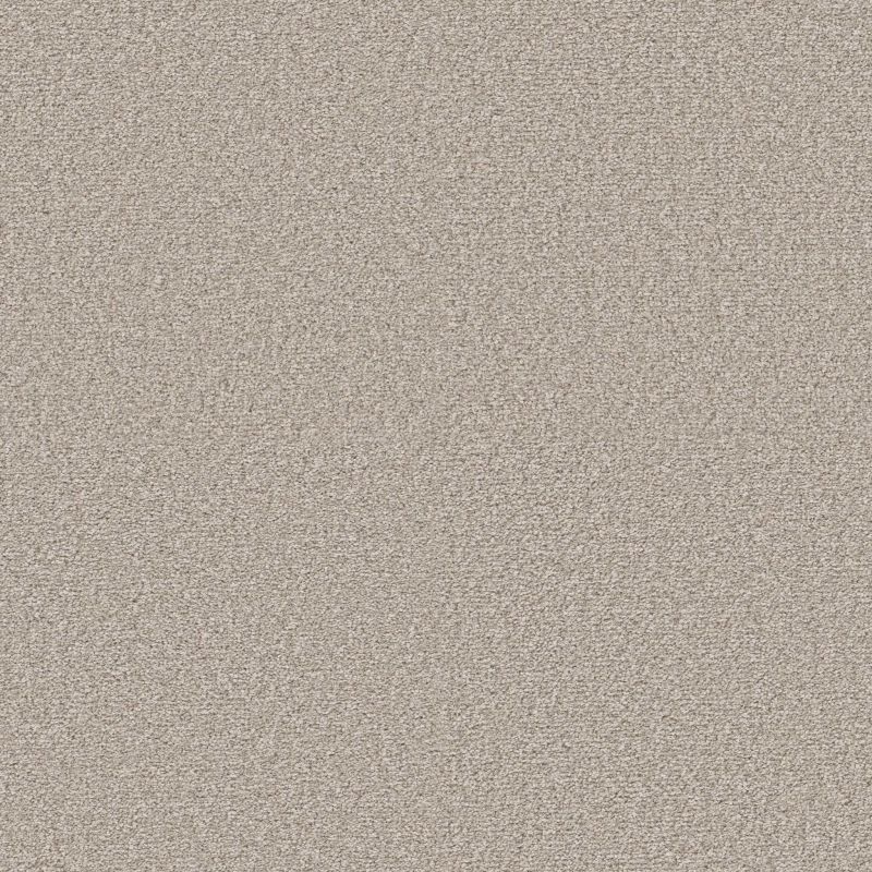 Shaw Floors Pet Perfect Ultra Lush Soft Sense