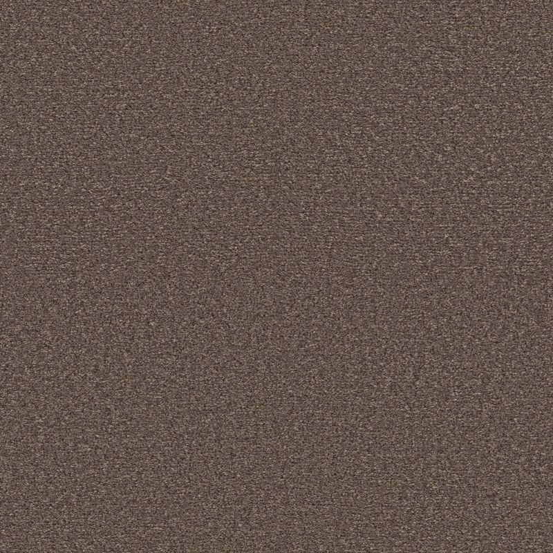Shaw Floors Pet Perfect Ultra Lush Mantra