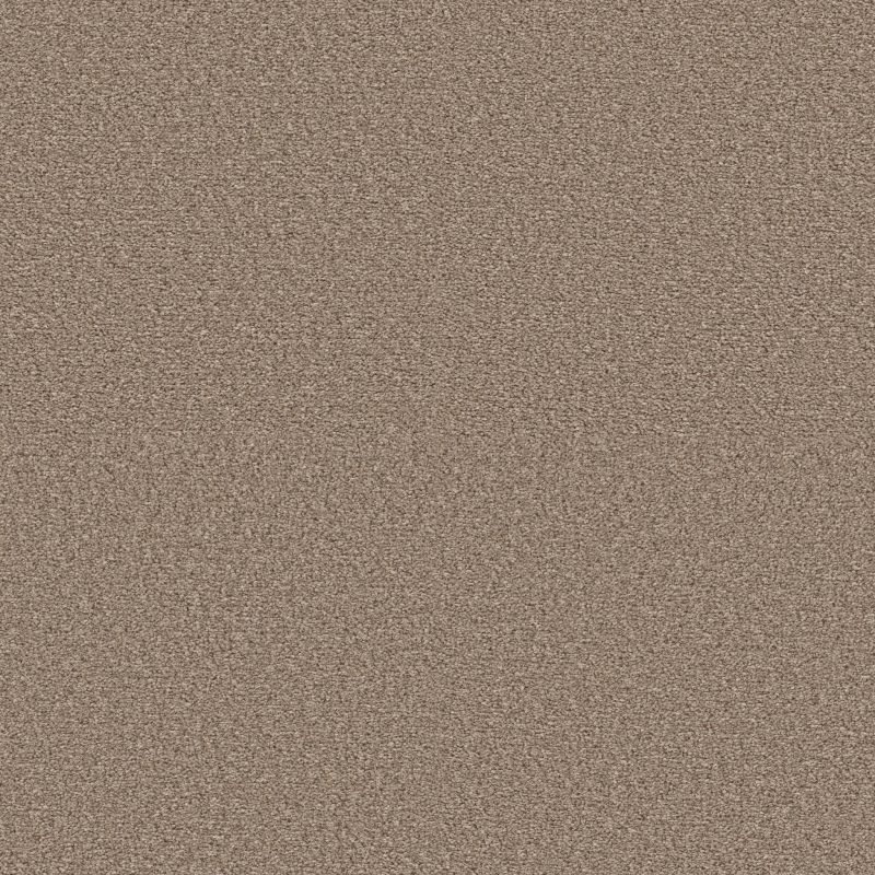 Shaw Floors Pet Perfect Ultra Lush Sands Of Time