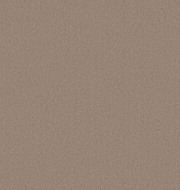 Shaw Floors Simply The Best Highland Twill Kindling