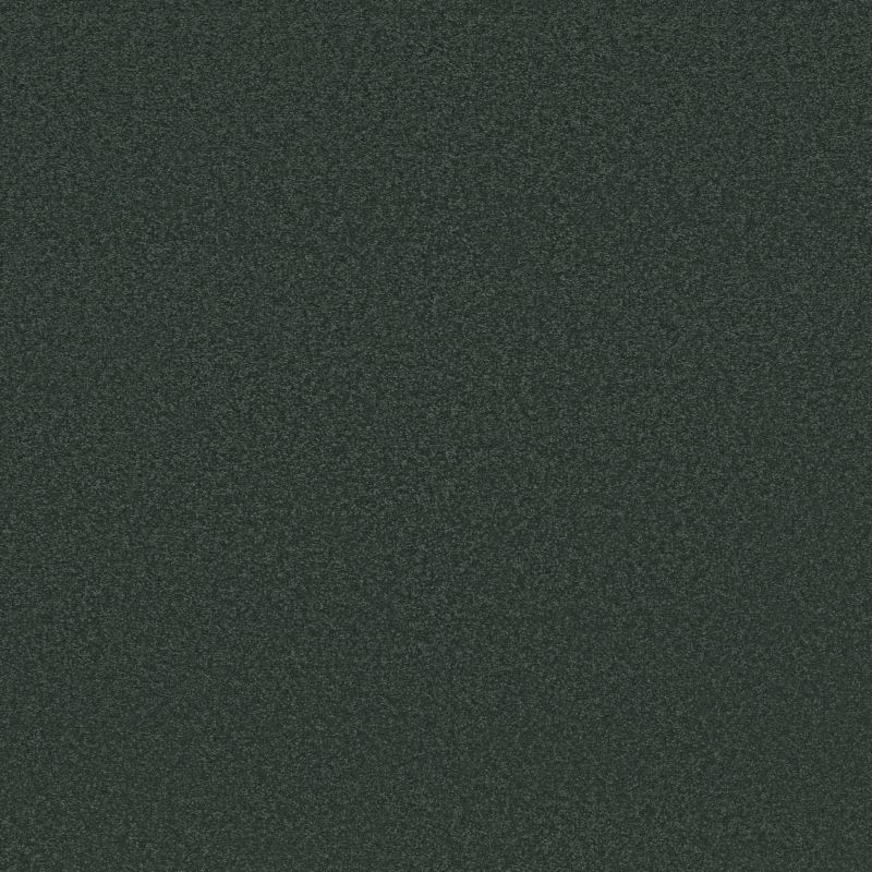 Shaw Floors Awaken Spirit I Blue Spruce