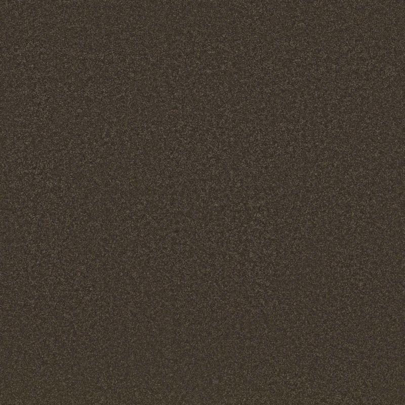Shaw Floors Awaken Spirit I Wood Grain