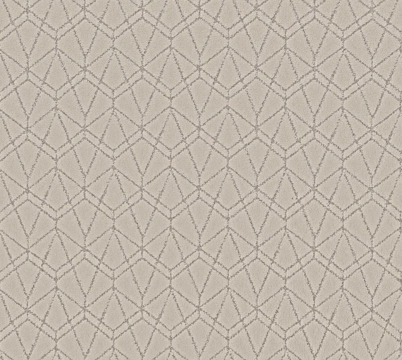 Shaw Floors Pet Perfect Plus Point Of View Soft Sense
