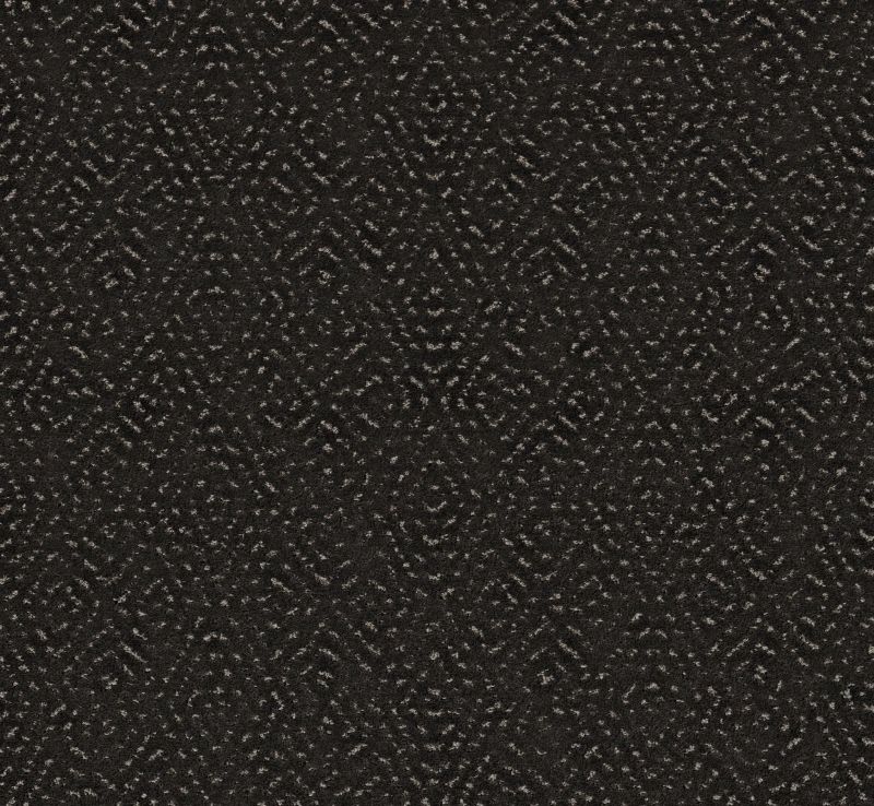 Shaw Floors Pet Perfect Plus Elaborate Artifact Cafe Noir