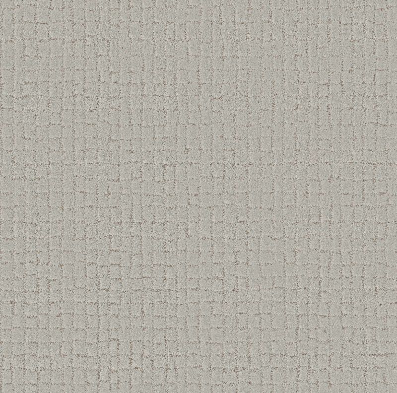 Shaw Floors Pet Perfect Plus Block Party Cashmere