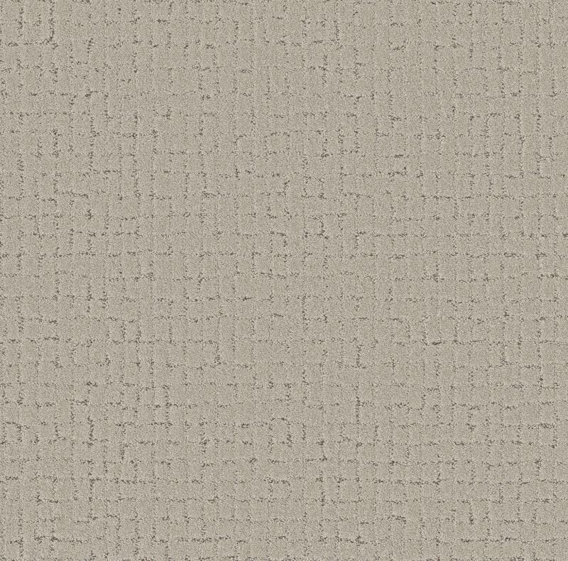 Shaw Floors Pet Perfect Plus Block Party River Birch