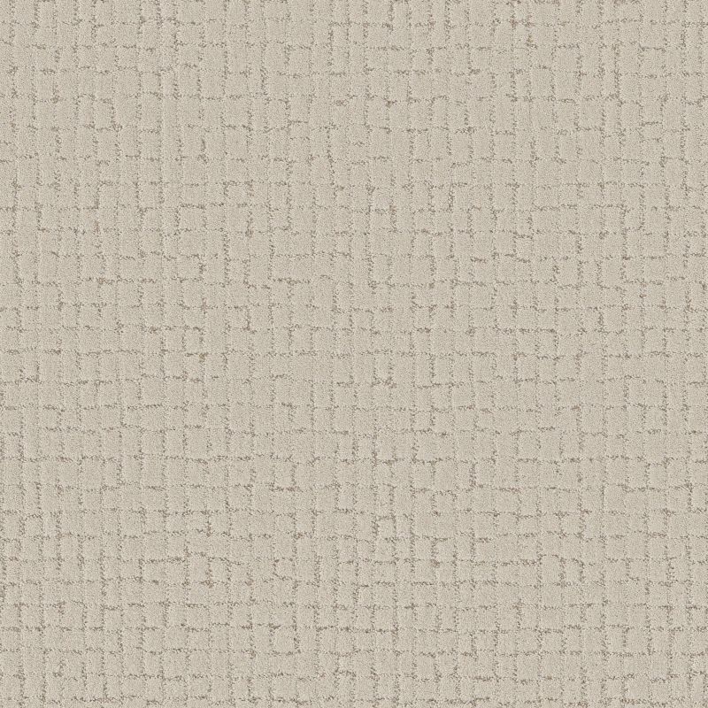 Shaw Floors Pet Perfect Plus Block Party Natural