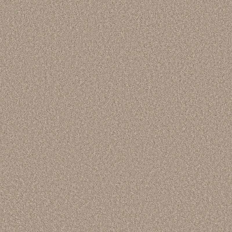 Shaw Floors Prevalent Sunlit Ivory