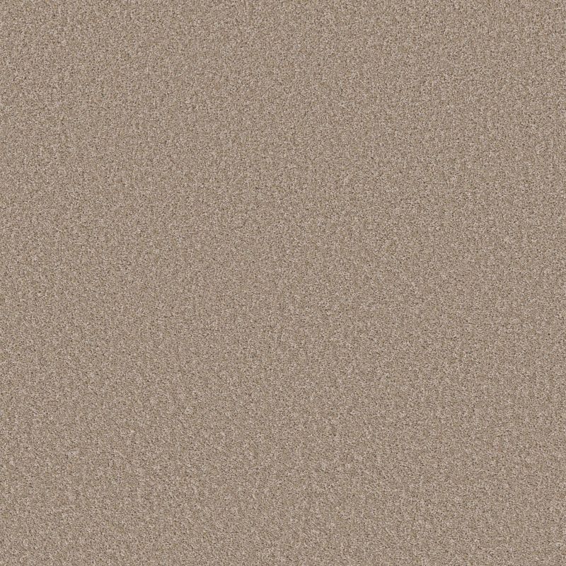Shaw Floors Prevalent Blondy