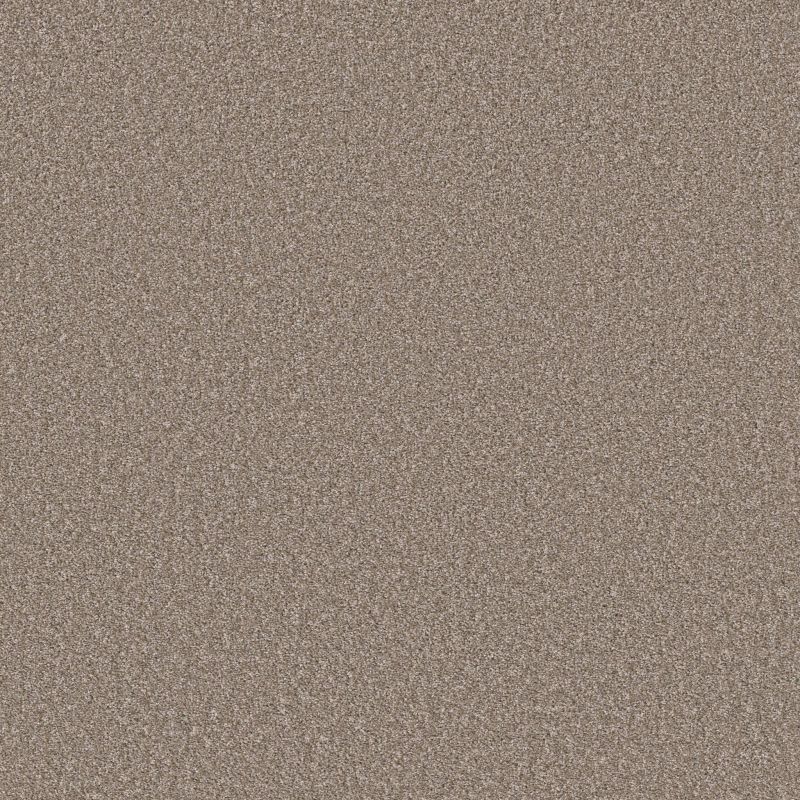 Shaw Floors Prevalent Sahara