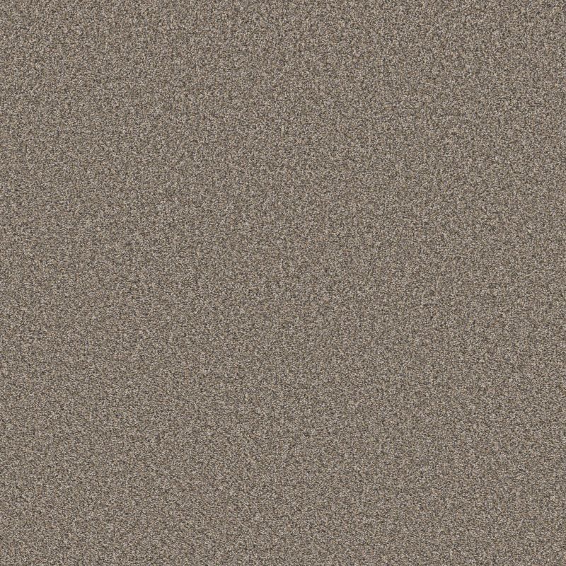 Shaw Floors Pet Perfect Remixed Classic Net Nutria