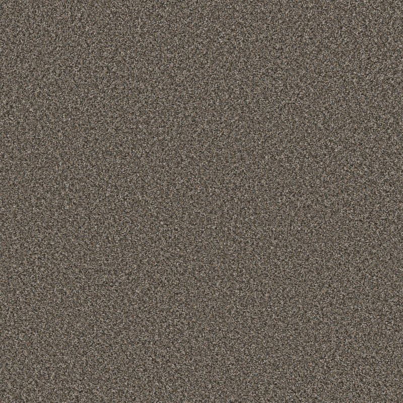 Shaw Floors Pet Perfect Remixed Classic Net Rock Garden