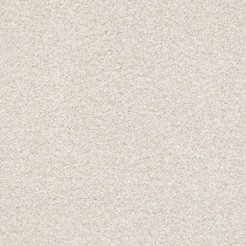 Shaw Floors SFA Tonal Comfort I Net Warm Blanket