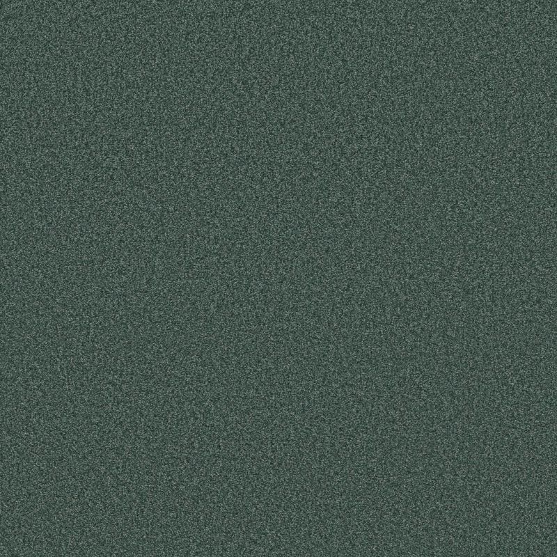 Shaw Floors SFA Tonal Comfort I Net Bold Moves