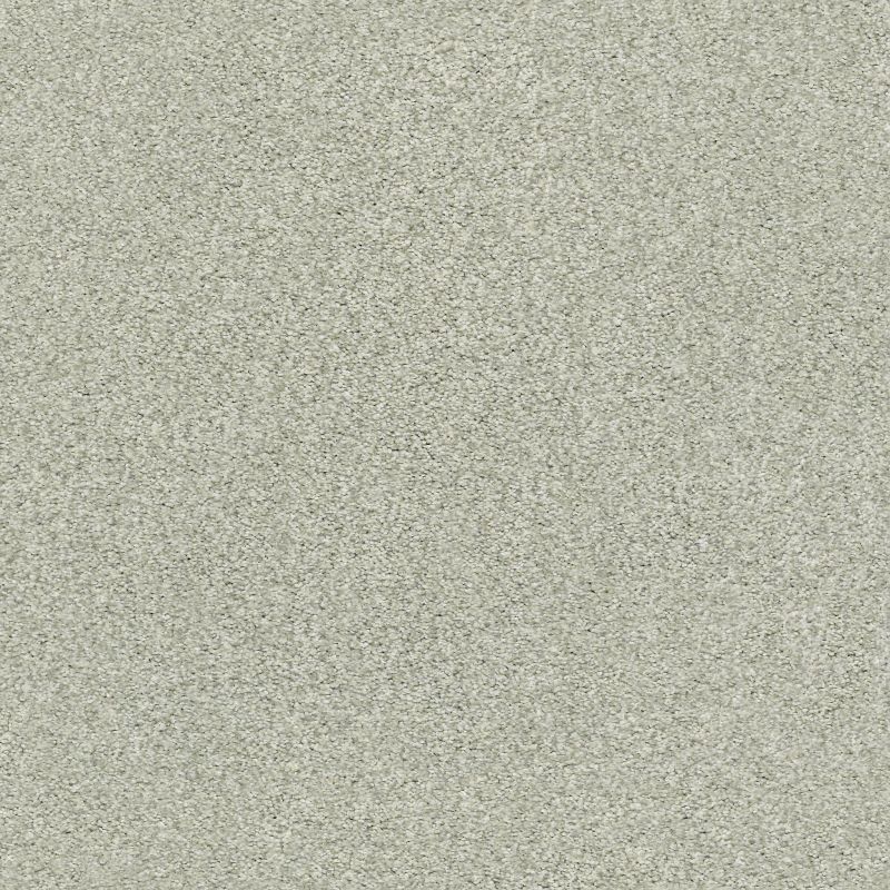 Shaw Floors SFA Tonal Comfort I Net Willow Tree