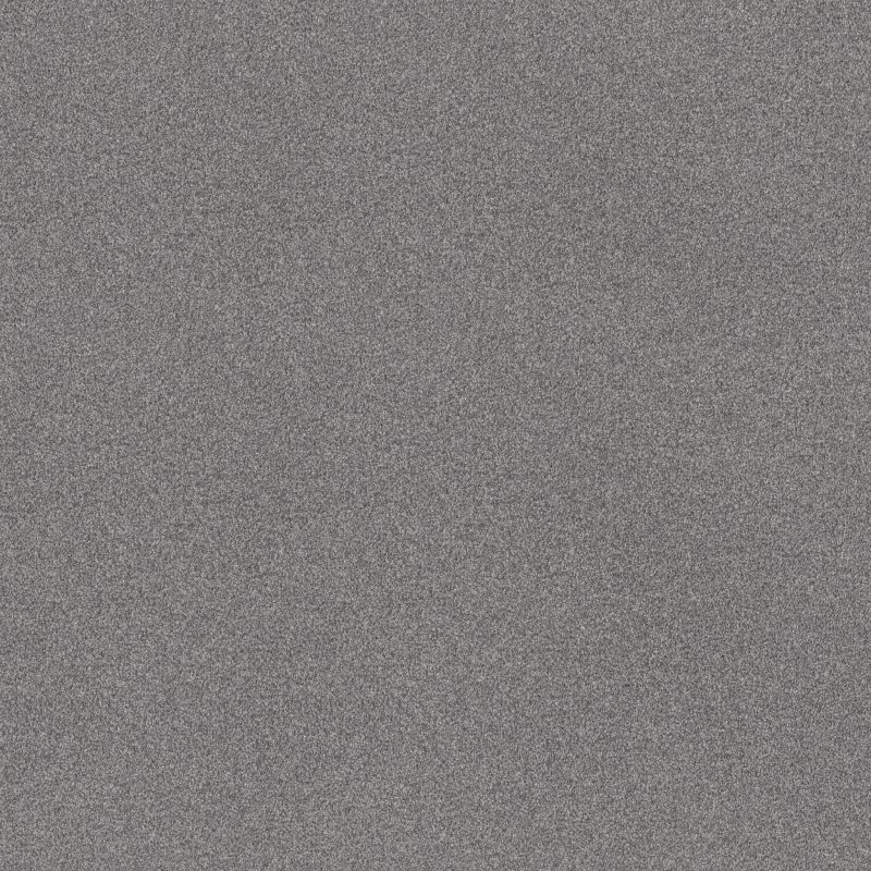 Shaw Floors SFA Tonal Comfort I Net Dolphin Sighting