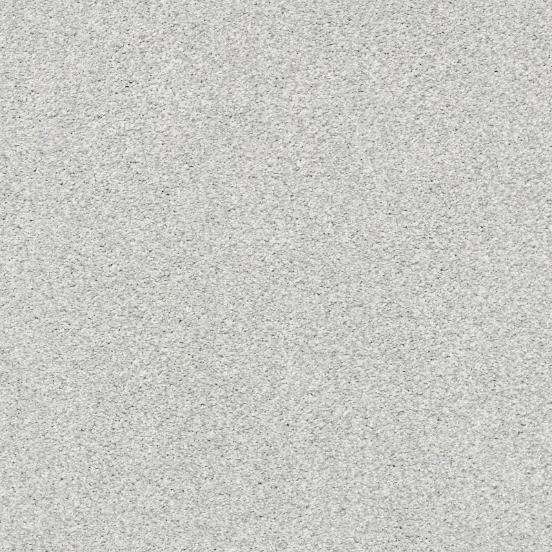 Shaw Floors SFA Tonal Comfort I Net Bay Waves
