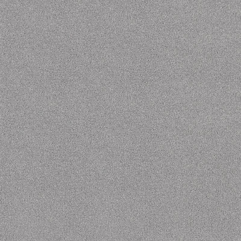 Shaw Floors SFA Tonal Comfort I Net Polished Silver