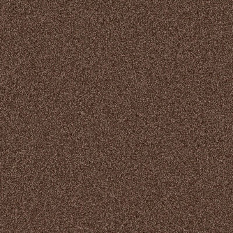 Shaw Floors SFA Tonal Comfort I Net Chili