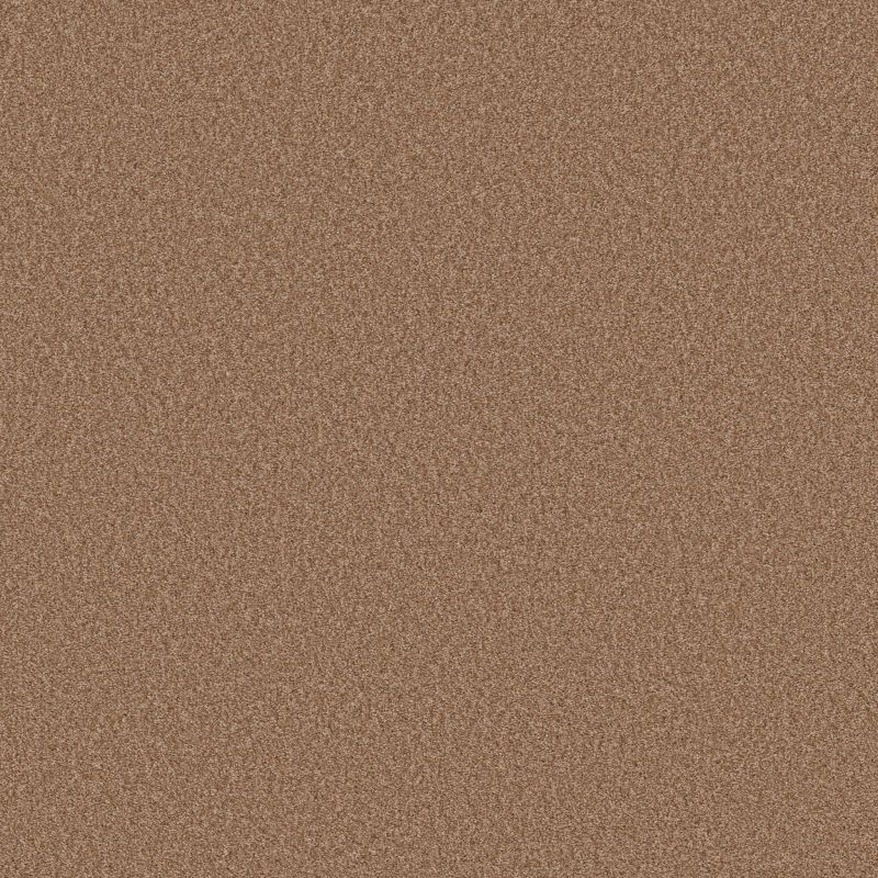 Shaw Floors SFA Tonal Comfort I Net Terracotta Pot