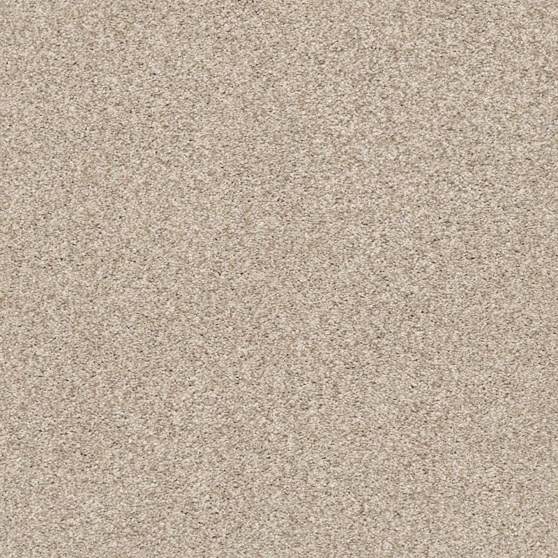 Shaw Floors SFA Tonal Comfort I Net My Haven