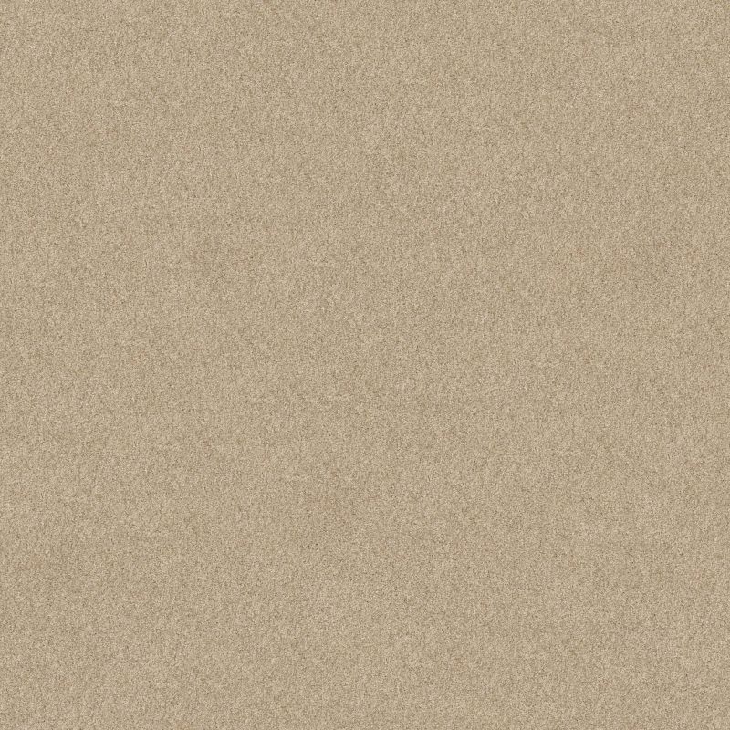 Shaw Floors SFA Tonal Comfort II Net Sun Kissed
