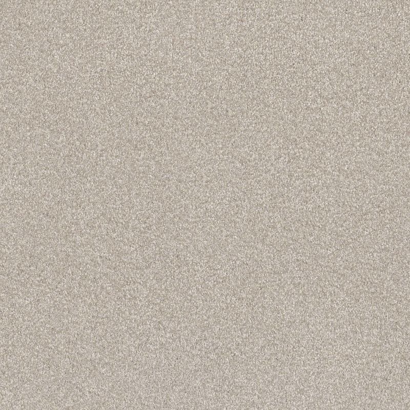 Shaw Floors SFA Tonal Comfort II Net Need A Hug