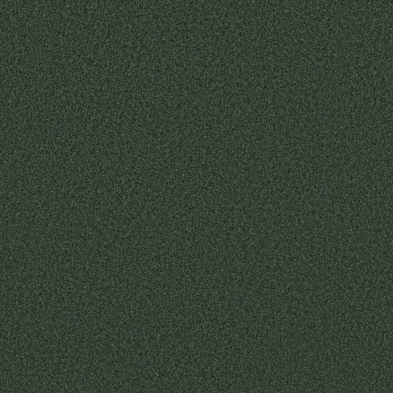 Shaw Floors SFA Tonal Comfort II Net Magnolia Branch