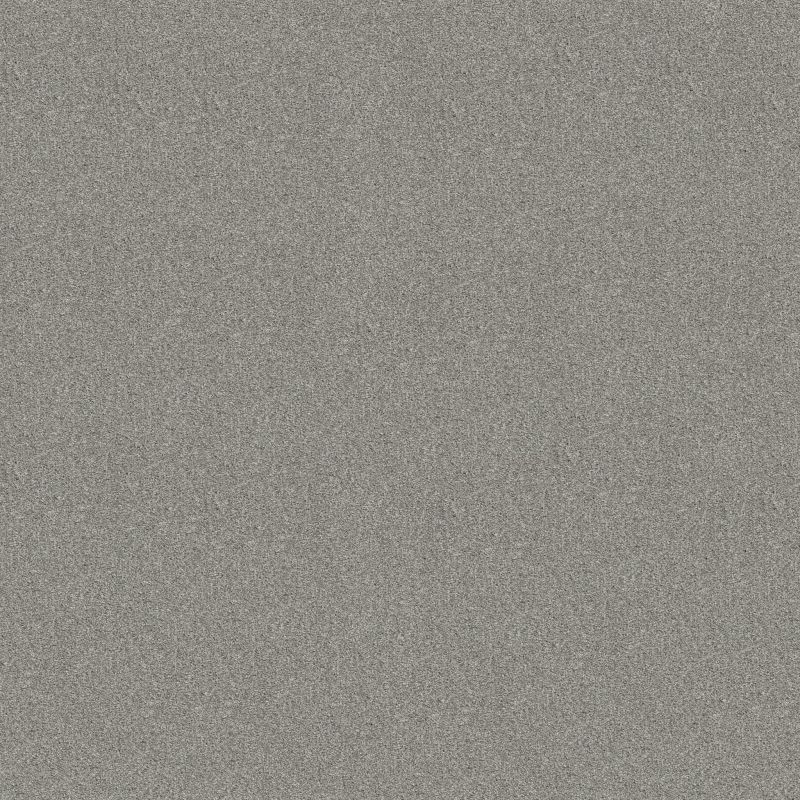 Shaw Floors SFA Tonal Comfort II Net Restful Day