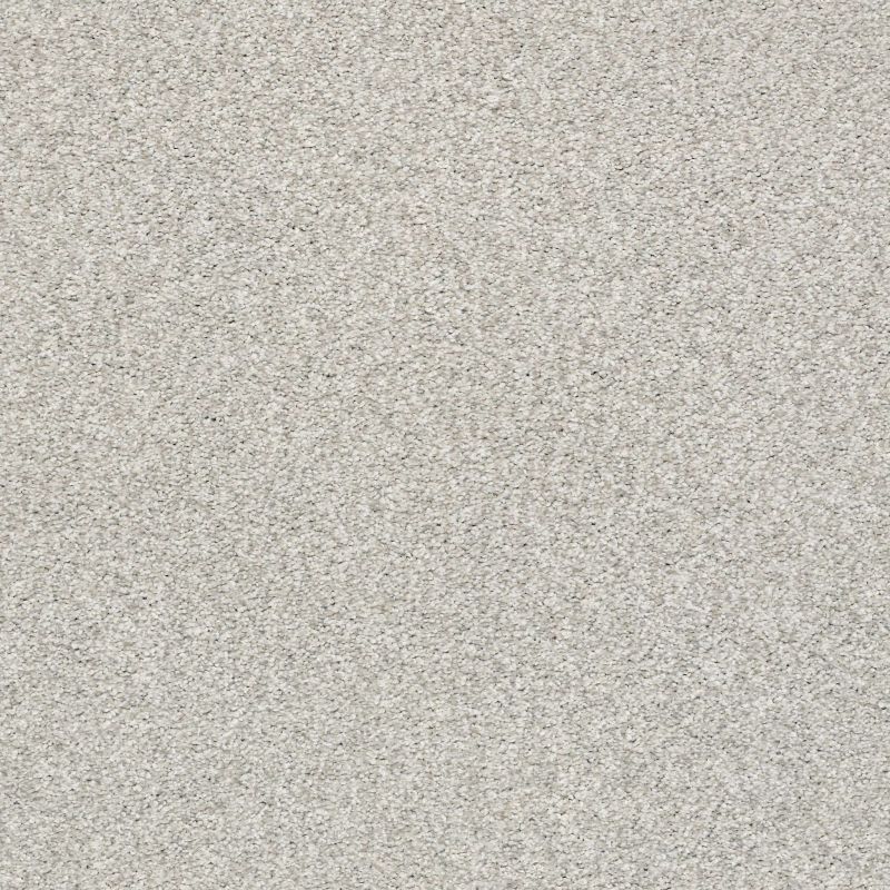 Shaw Floors SFA Tonal Comfort II Net Quiet Time