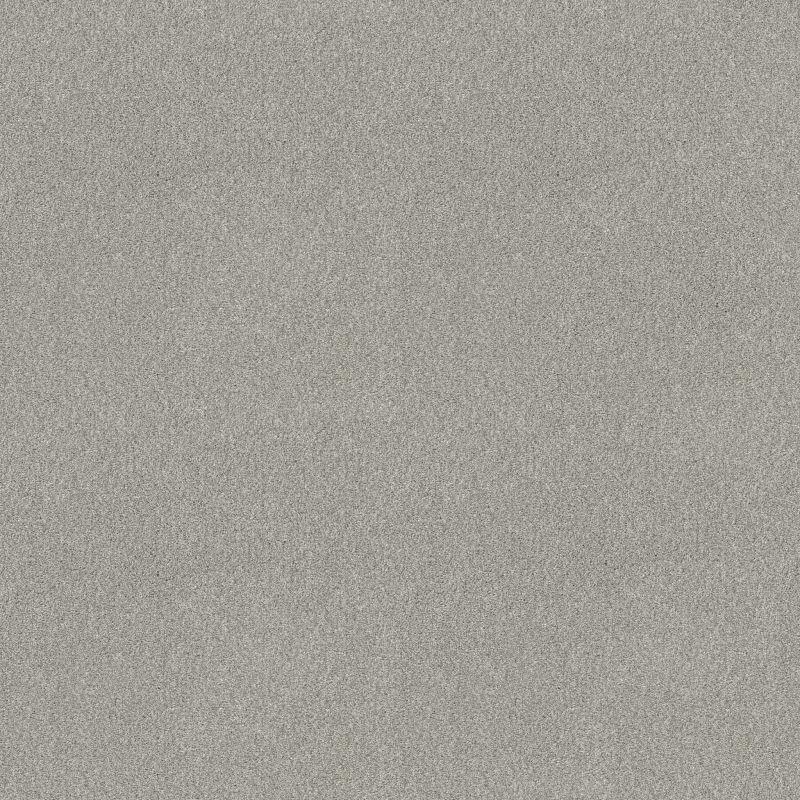 Shaw Floors SFA Tonal Comfort II Net Refreshed