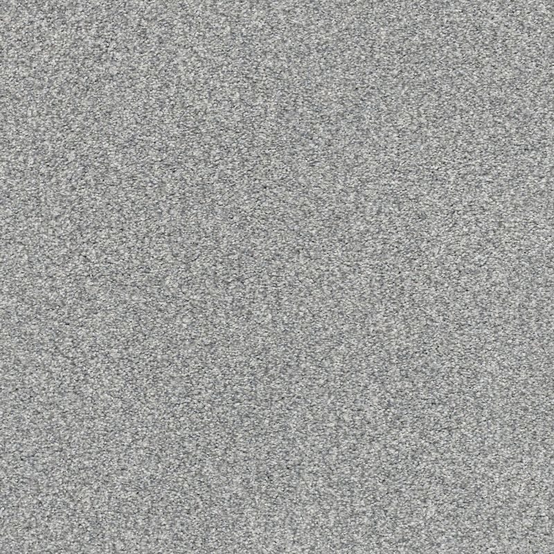 Shaw Floors SFA Tonal Comfort II Net Misty Rain