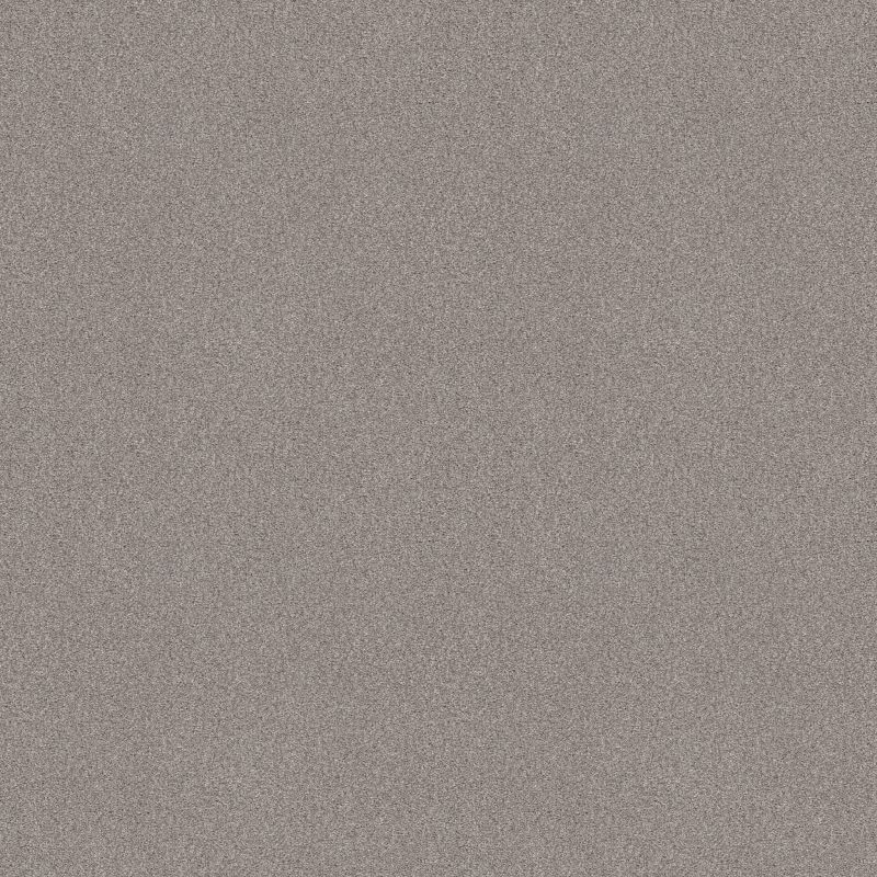 Shaw Floors SFA Tonal Comfort II Net Whisper