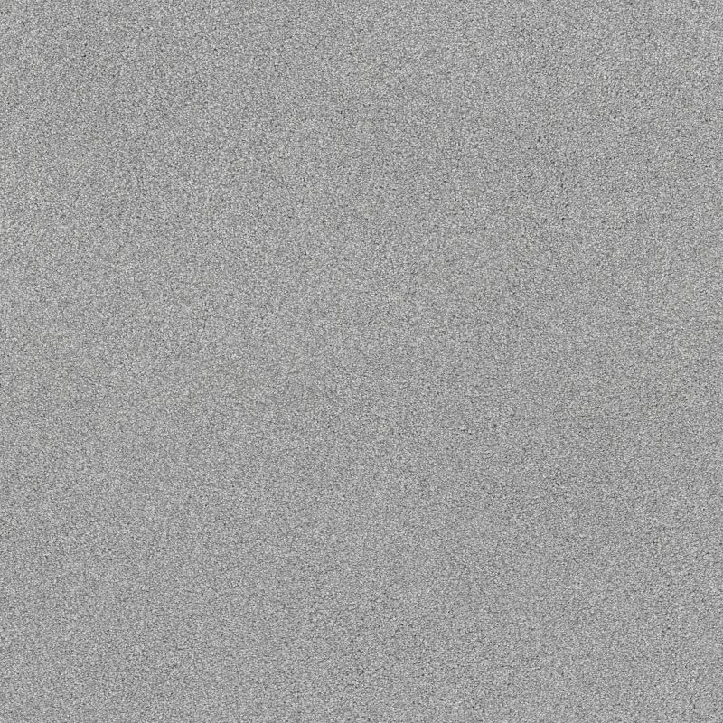 Shaw Floors SFA Tonal Comfort II Net Polished Silver