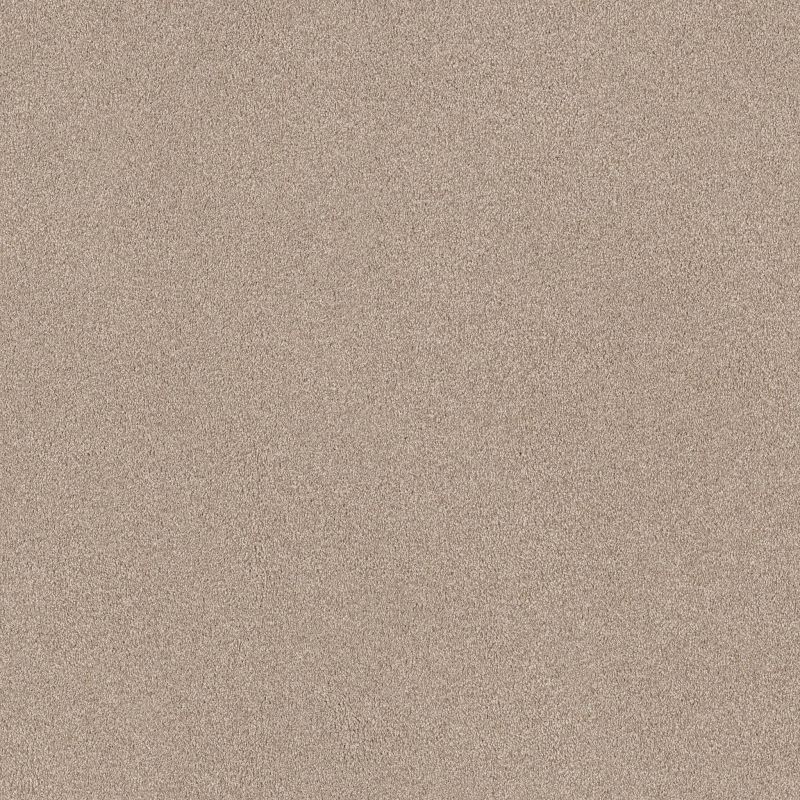 Shaw Floors SFA Tonal Comfort II Net My Haven