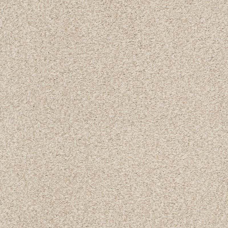 Shaw Floors SFA Tonal Comfort Blue Net Happy Place