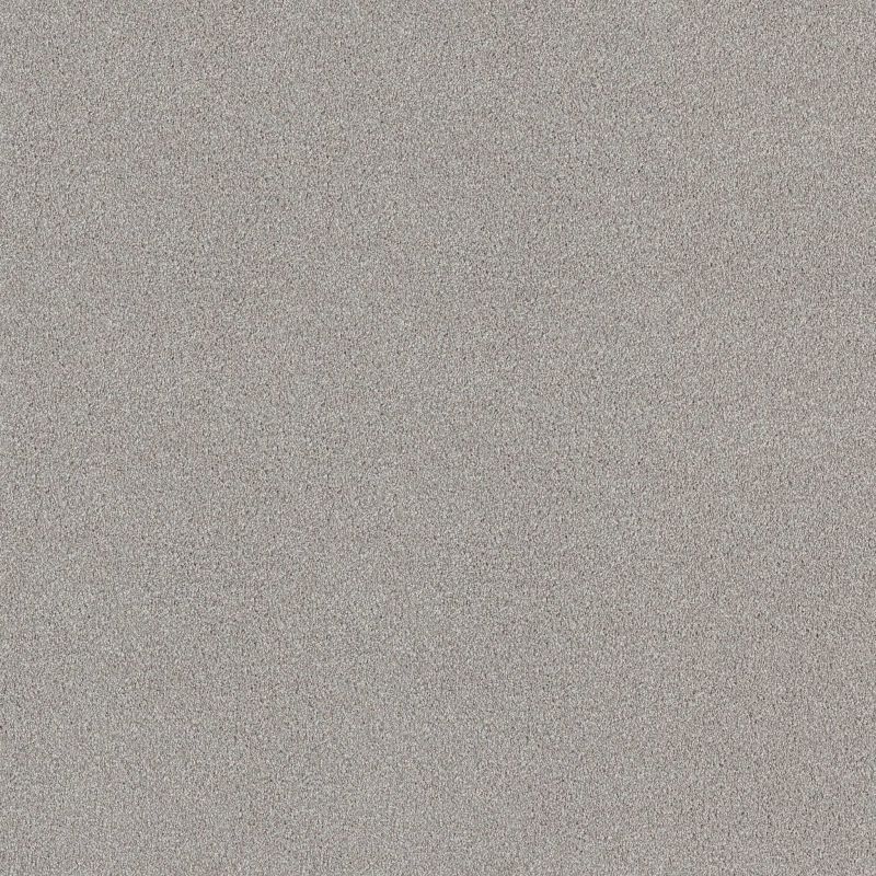 Shaw Floors SFA Tonal Comfort Blue Net Morning Dew