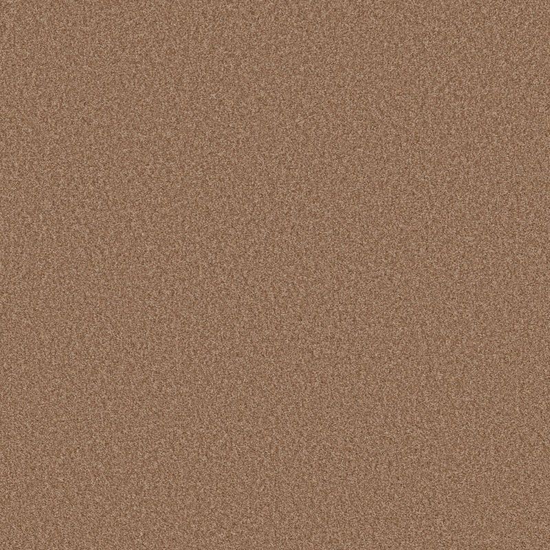 Shaw Floors SFA Tonal Comfort Blue Net Terracotta Pot