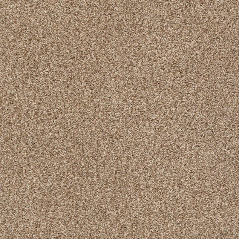 Shaw Floors SFA Tonal Comfort Blue Net Falling Leaves