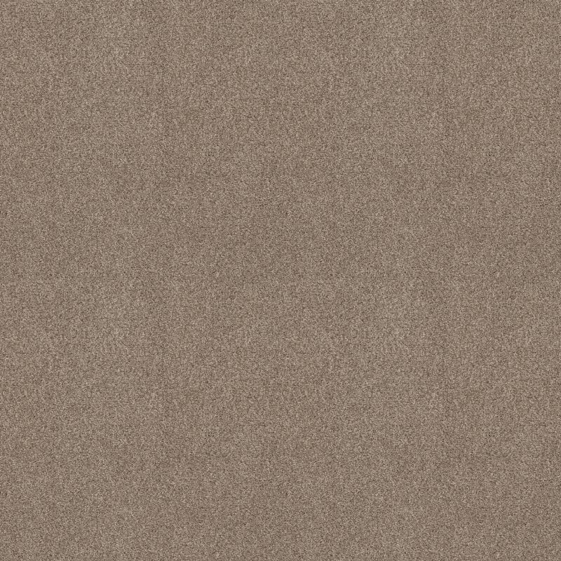 Shaw Floors SFA Tonal Comfort Blue Net Dockside View