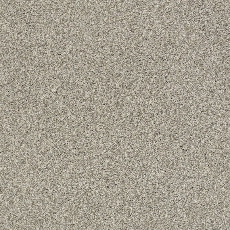 Shaw Floors SFA Tonal Comfort Blue Net Back Patio