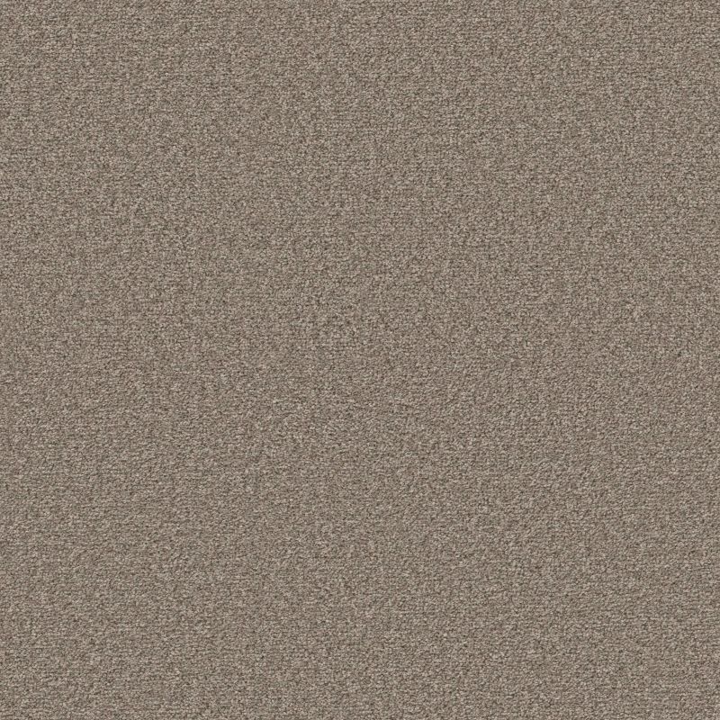 Shaw Floors Pet Perfect Ultra Lush Net Cobblestone