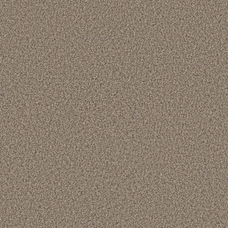 Shaw Floors Pet Perfect Plus Renewed Energy I Net Khaki