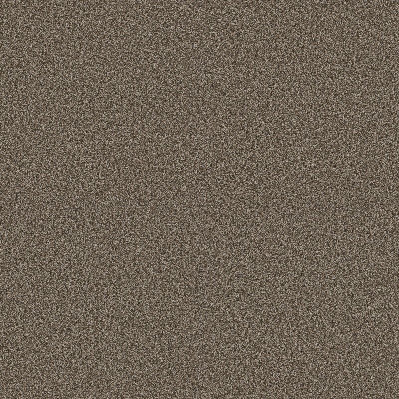 Shaw Floors Pet Perfect Plus Renewed Energy I Net Fence Post