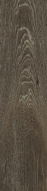 Shaw Floors 5th And Main Symbiotic 20 Batik