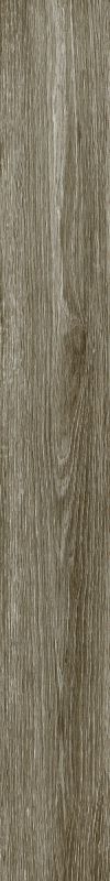 Shaw Floors 5th And Main Symbiotic 30 Carbon