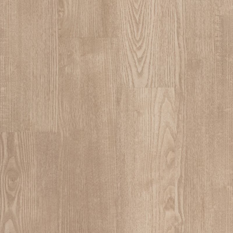 Shaw Floors 5th And Main Symbiotic 5.0 Sandstone