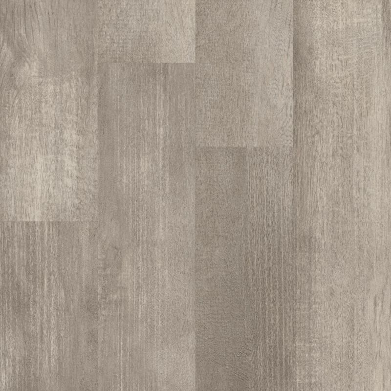 Shaw Floors 5th And Main Symbiotic 5.0 Fir